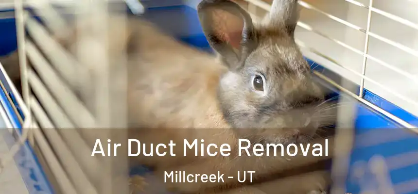 Air Duct Mice Removal Millcreek - UT