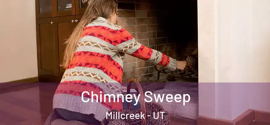 Chimney Sweep Millcreek - UT