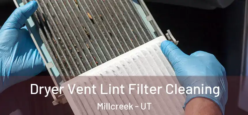 Dryer Vent Lint Filter Cleaning Millcreek - UT