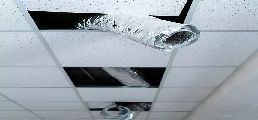 Our Air Duct Pet Hair Removal Services in Millcreek, UT