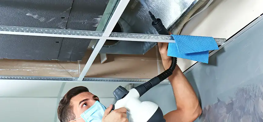 Our Air Duct Rodent Removal Services in Millcreek, UT