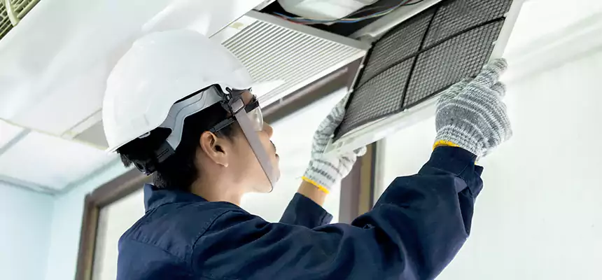 Our Mold & Mildew Removal from Air Ducts Services in Millcreek, UT