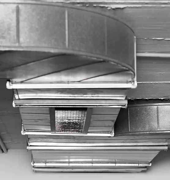 Professional Air Duct Pest Removal in Millcreek, UT