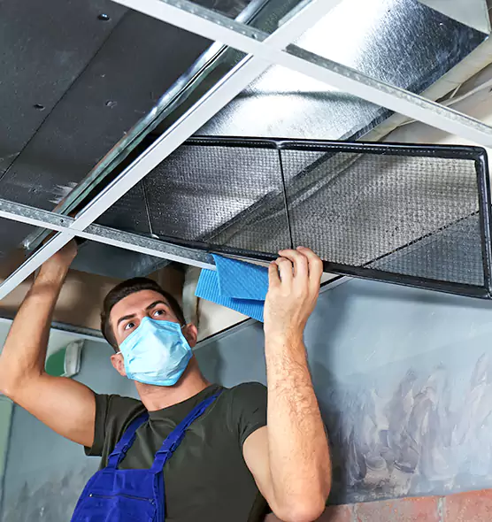 Professional Air Duct Pollen Cleaning in Millcreek, UT