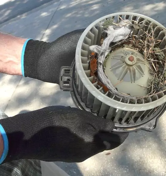 About Air Duct Rat Removal in Millcreek, UT