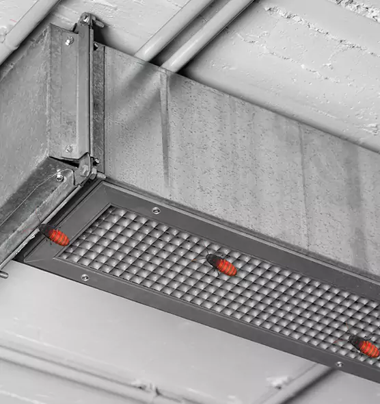 Affordable Insect Removal from Air Ducts in Millcreek, UT