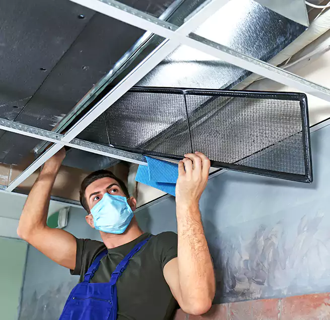 Why Homeowners Businesses Trust Us in Millcreek, UT